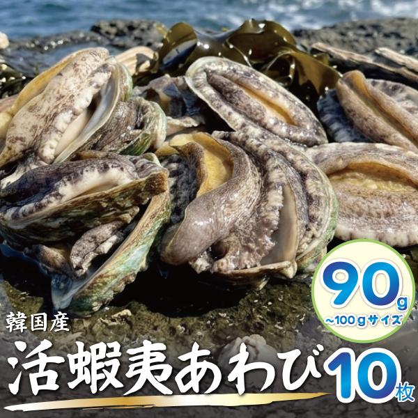 活蝦夷あわび (80/90gサイズ)×10枚 刺身用 海鮮ギフト 贈答用 お中元 お歳暮 高級 BBQ 韓国産養殖【活きたままお届け！】送料無料