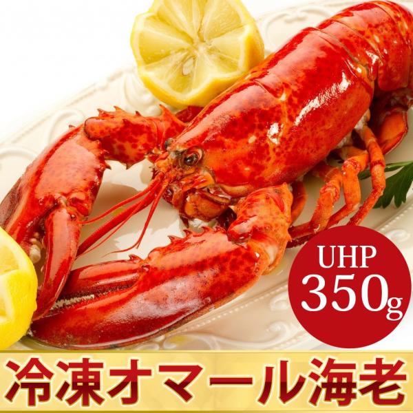 オマール海老 350-400g前後 3尾 冷凍 ロブスター 高鮮度UHP冷凍