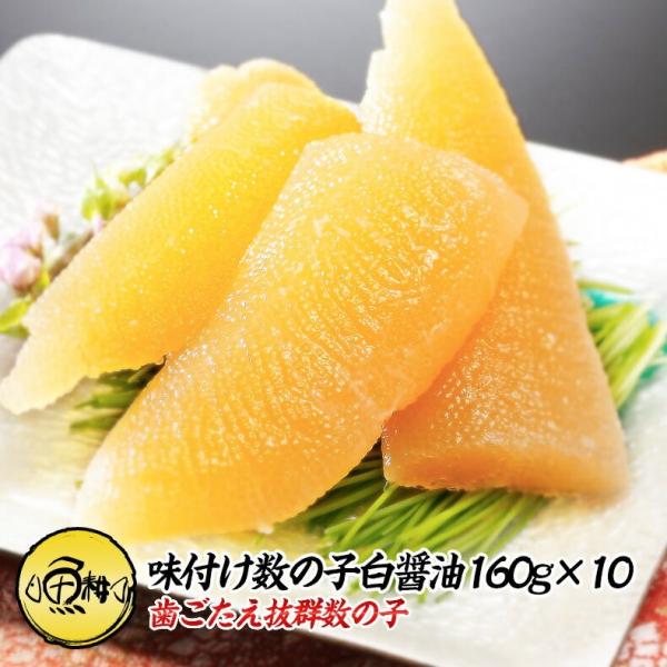 t̎q Ɩp 1.6kg 160g×10Zbg { ̂  O