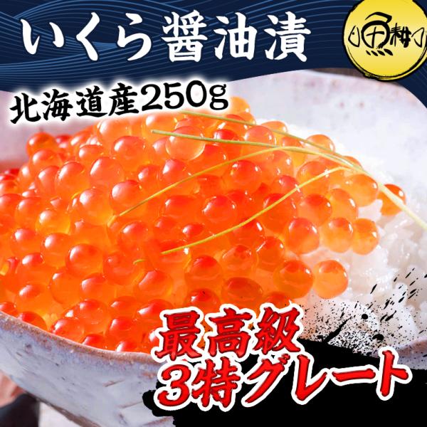 敬老の日 2026 いくら 250g 醤油漬け 大粒 北海道産 新物 最高級3特グレード 鮭 イクラ 冷凍 プレゼント ギフト