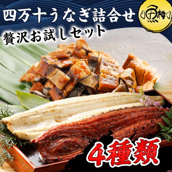 お中元 2026 うなぎ 国産 四万十 蒲焼き 白焼き 詰め合わせ 4種セット プレゼント ギフト ウナギ 鰻