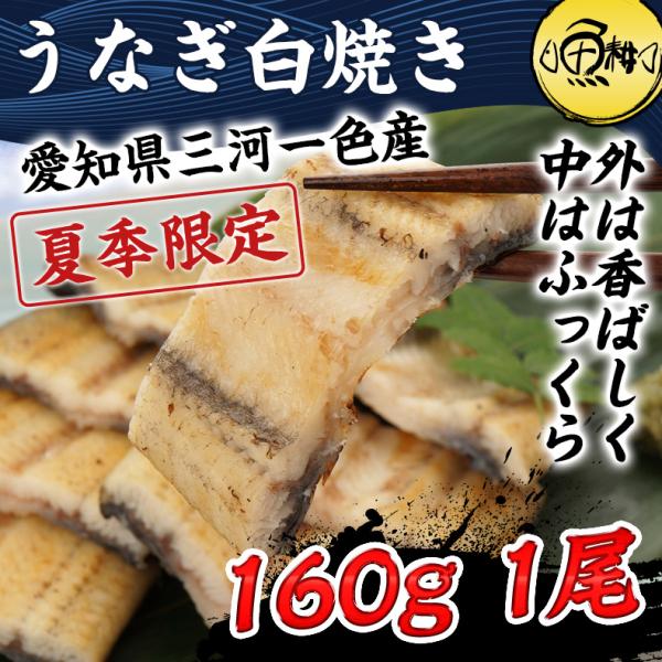 うなぎ 白焼き 国産 愛知三河一色産 うなぎ白焼 約160g×1尾 ウナギ 鰻