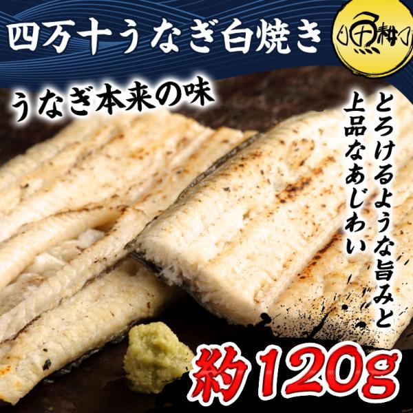 お中元 2026 うなぎ 四万十うなぎ白焼き 約120g 国産最高級 グルメ プレゼント ギフト
