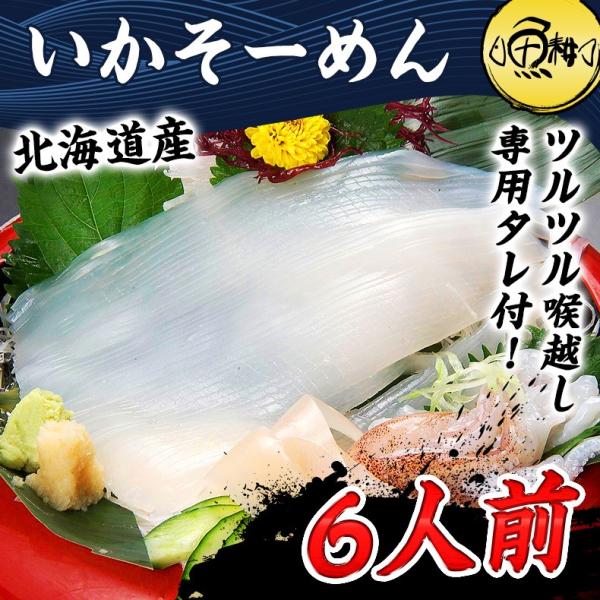 魚耕 いかそーめん