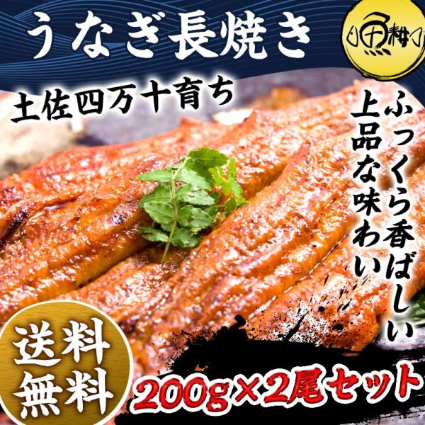 通販 うなぎ 父の日 プレゼント 夏ギフト お中元ギフト 2023 国産最高級 四万十うなぎ 超特大サイズ蒲焼き長焼き約200g×2尾 お取り寄せ グルメ 鰻 高知県四万十産 うなぎ 超特大サイズ 蒲焼き 長焼き 400g 2尾×約200g