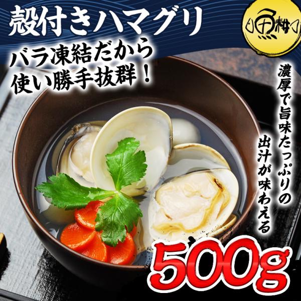 はまぐり 殻付きハマグリ 500g 砂抜き済ですぐ料理に使える！ 殻付
