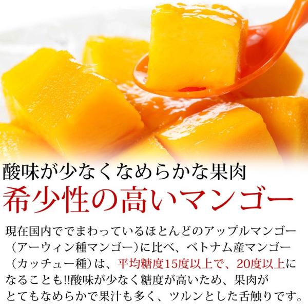 プレミアムマンゴー 冷凍 1kg 無添加 ベトナム産 500g×2 カット済み フルーツ /【Buyee】 プレミアムマンゴー 冷凍 1kg 無添加 ベトナム産 500g×2 カット済み フルーツ /【Buyee】