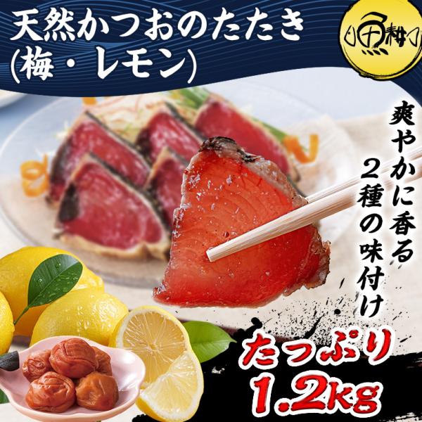 かつお 鰹のたたき 味付き 太平洋産 選べる 瀬戸内塩レモン味 梅昆布味 1.2kg以上 天然 カツオたたき 国産 刺身
