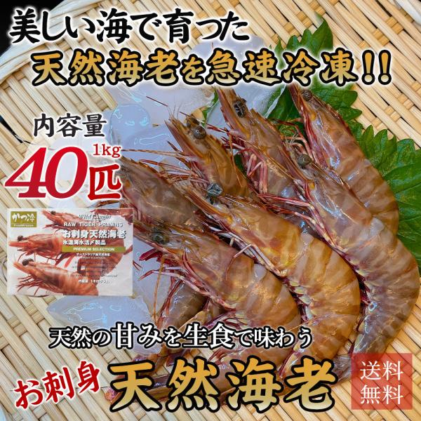 ホタテ 刺身 北海道産 帆立 ほたて 貝柱 1kg (36〜40粒）2S｜刺身用｜BBQ｜北海道｜新鮮｜海鮮｜バラ｜冷凍｜ちらし寿司｜ひな祭り