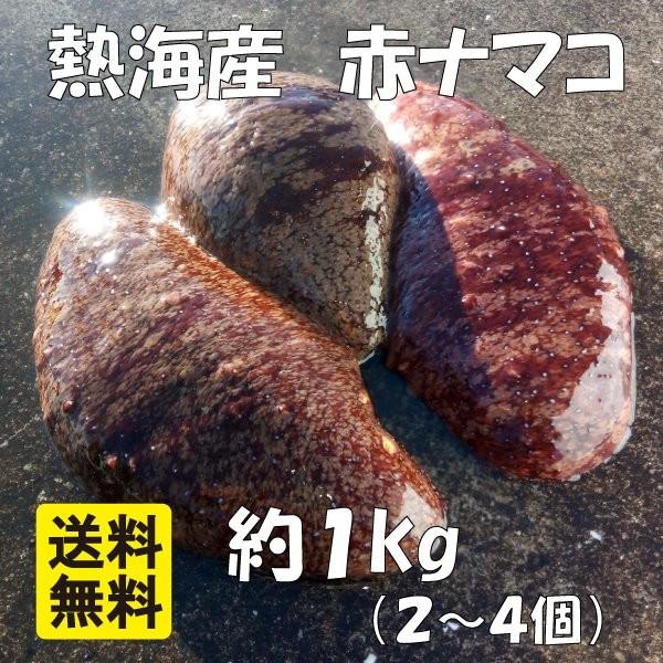 産直 熱海産 天然 活赤なまこ 活赤ナマコ 生なまこ 生ナマコ アカナマコ 約1kｇ 2 4個 贈り物 熨斗紙 Buyee Buyee Japanese Proxy Service Buy From Japan Bot Online