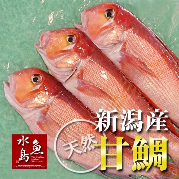 VY VR Ñ A}_CiOWj400`499gE3iⓀj