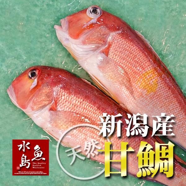 新潟産 天然 甘鯛 アマダイ（グジ）600〜699g・2尾（生冷凍） : 日本海
