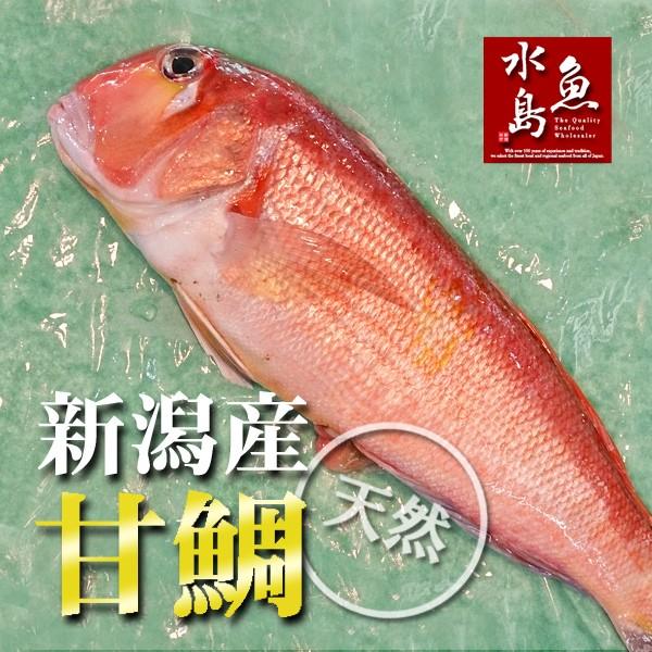 VY VR Ñ A}_CiOWj700`799giⓀj