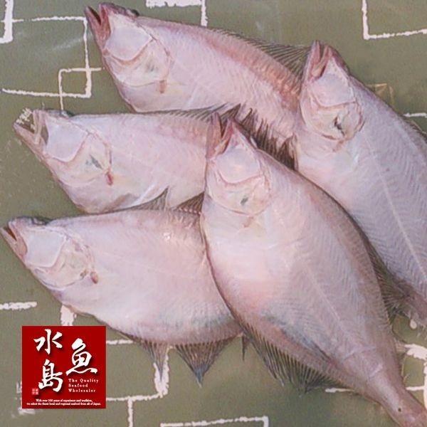 新潟産 天然 宗八カレイ一夜干し 一尾400〜500g 3枚入（自家製手造り ソウハチカレイ干物）