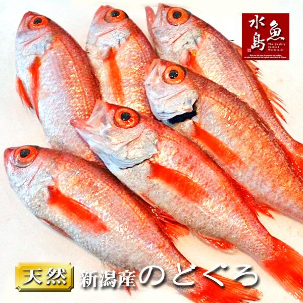 のどぐろ 新潟・日本海産 ノドグロ 200g以上・6尾（生冷凍）