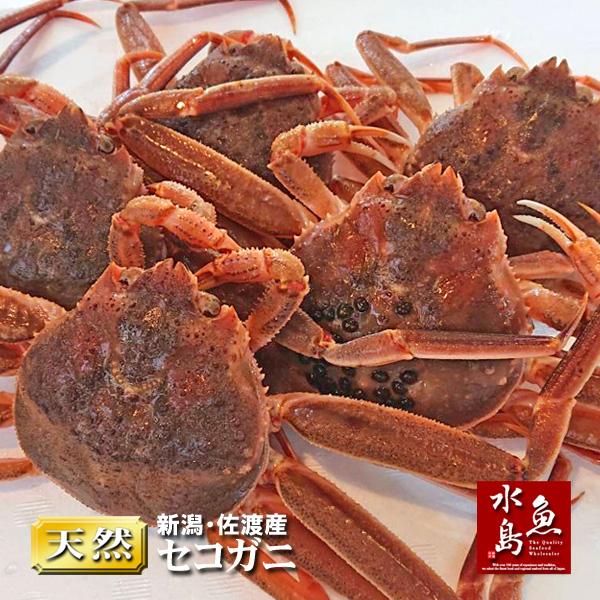 ◆希少な極上品を獲れたて直送!!◆期間限定、濃厚な旨み・甘味がたっぷり。■原材料/新潟・佐渡産 セコガニ■内容量/約700〜900g（5杯）■保存方法/要冷蔵■賞味期限/お届け日の翌日まで■市場休み（日・祝・その他不定休）の場合は発送もお休...