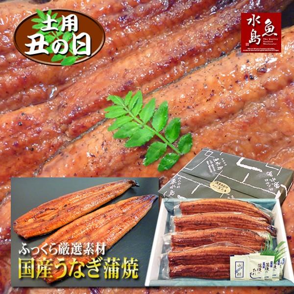 ̓Mtg ypN̓ Y VȂĂ ӂ猵If 30cm 200g×4 