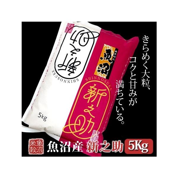  5kg YVV ߘa7NY  ikCEBE͏j͔s