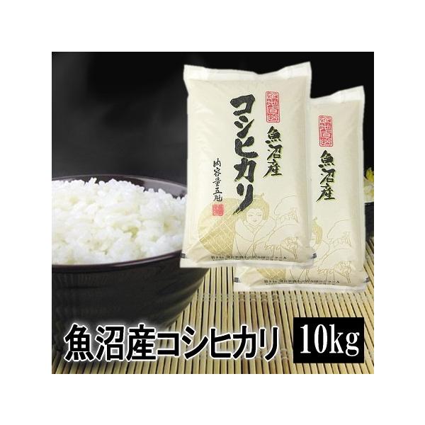 コシヒカリ 令和7年産 米 10kg 5kg×2 魚沼産コシヒカリ 令和7年産 白米