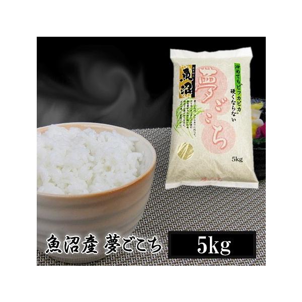  5kg Y ߘa7NY  ikCEBE͏j͔s