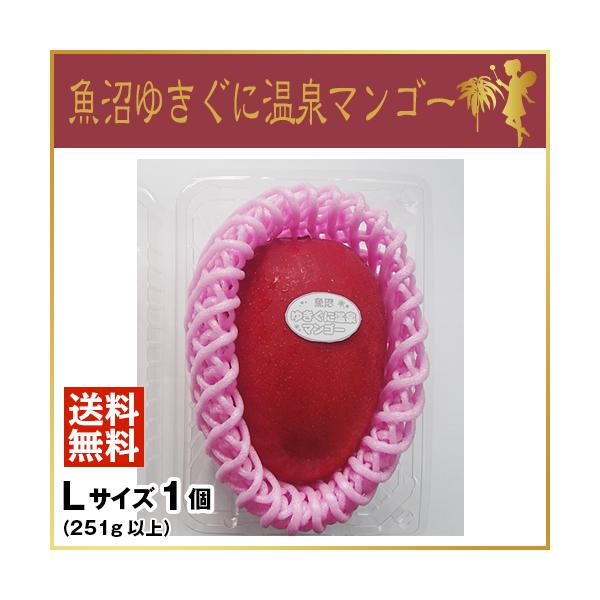 [Release date: June 1, 2015]【令和8年の販売予約を開始しました。】温泉熱を利用してつくった、環境に優しい完熟マンゴー。新潟・南魚沼で栽培された珍しい一品。ご贈答用にもどうぞ。糖度はなんと18度以上。とびきりの甘さ...