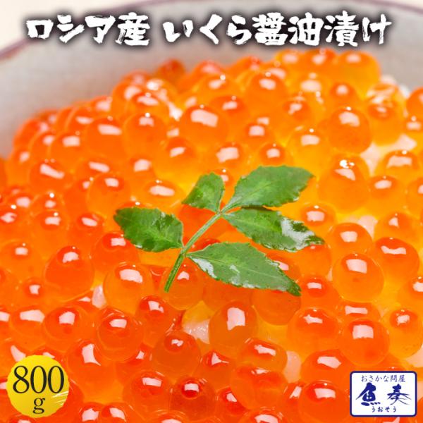 CN { ݖЂ800g VAY Ȗqł͂܂ Ɩp Hi   |Cgp i Tv
