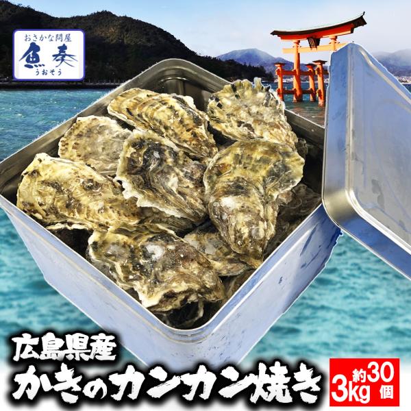 【発売日：2021年01月11日】☆　広島県産殻付牡蠣　☆広島の牡蠣生産は全国一で、全国生産量の半分以上です。宮島は波が静かで潮の流れも適度にあるので、牡蠣の育成によい条件となっています。さらに梅雨から夏にかけて流れ込む河川水の影響で、海水...