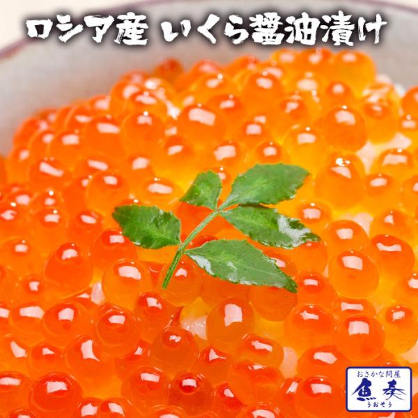 CN { ݖЂ100g VAY Ȗqł͂܂  Ɩp Hi  |Cgp i Tv