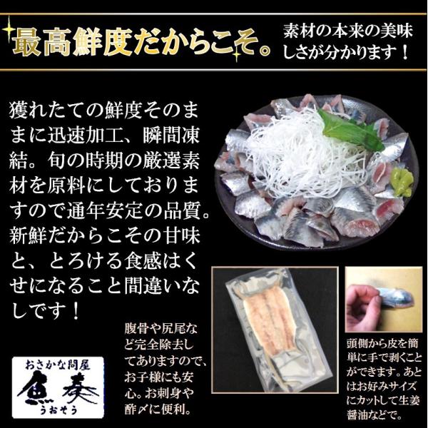 いわし イワシ 真いわし いわし開き 枚入 お刺身用 送料無料 冷凍 在宅 母の日 父の日 敬老 在宅応援 中元 お歳暮 ギフト Buyee 日本代购平台 产品购物网站大全 Buyee一站式代购 Bot Online