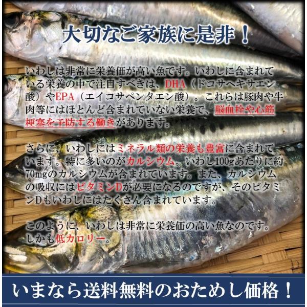 いわし イワシ 真いわし いわし開き 枚入 お刺身用 送料無料 冷凍 在宅 母の日 父の日 敬老 在宅応援 中元 お歳暮 ギフト おさかな問屋 魚奏 通販 Yahoo ショッピング