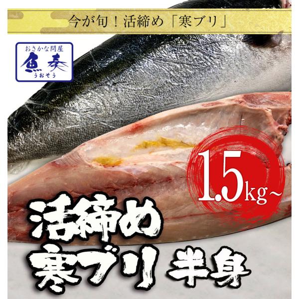 u g 낵ς 1.5kg` BY hgp `h Ԃ  Ԃ肵 ƏĂ YN |Cgp i Tv