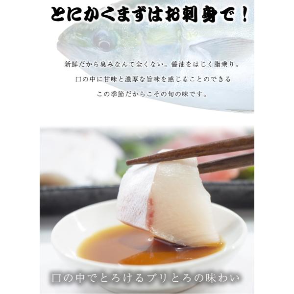 ぶり ブリ 鰤 寒ブリ 約5kg 刺身用 送料無料 チルド ブリしゃぶ 照り焼 在宅 在宅応援 お歳暮 ギフト 嫁ぶり Buyee Buyee Japanese Proxy Service Buy From Japan Bot Online