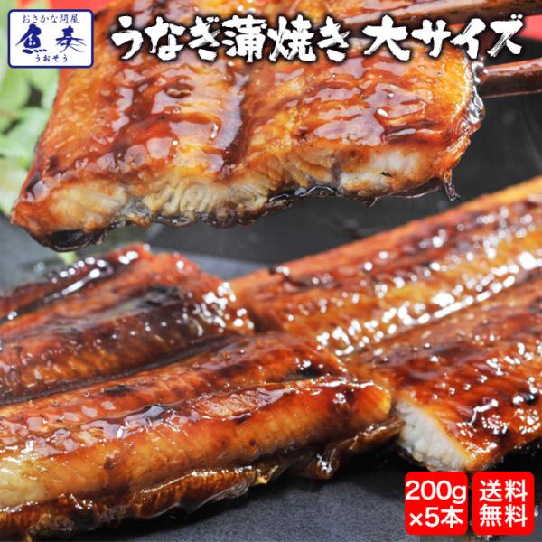 ☆　大サイズうなぎ蒲焼5本入り　☆こだわりのたれで焼き上げた風味抜群のうなぎです。実店舗の卸売でも和食の繁盛店様に使用していただいてる実績ある商品です。個別包装だから便利。手間いらずの湯煎調理が可能です。ご家庭は勿論、ご進物にも喜ばれる自信...