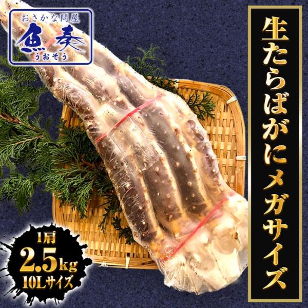 [Release date: December 1, 2024]☆メガサイズこれぞ最大クラスの極太脚☆口いっぱいに頬張る幸せを是非ご堪能ください！超破格の限定スペシャル価格です。半額以下の損切見切り価格ですので絶対お買い得間違いなし。　極太...