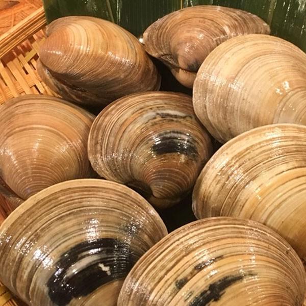 活 ホンビノス貝 1kg Hama 04 魚八商会 通販 Yahoo ショッピング