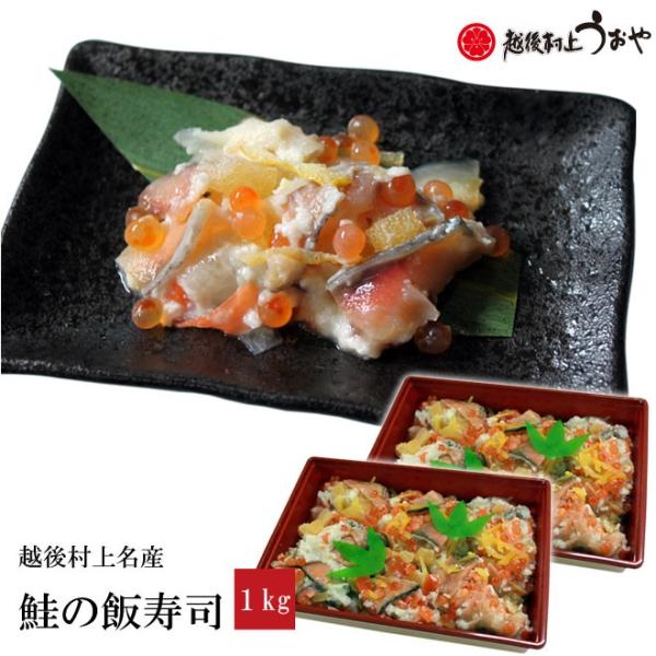 ̔юi 1kg (500g×2pbN)@ т V s