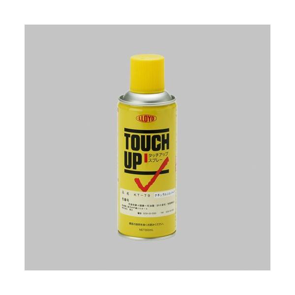 TOEX �����e�i���X���i 8KKP02PW �X�e���E�X�`�[���p��C�X�v���[ PW