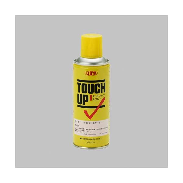 TOEX �����e�i���X���i 8KKP02RW �X�e���E�X�`�[���p��C�X�v���[ RW