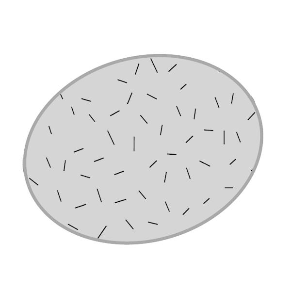 pi\jbN Panasonic R[hXXeBbNN[i[ |@ vtB^[ AVV43K-U80