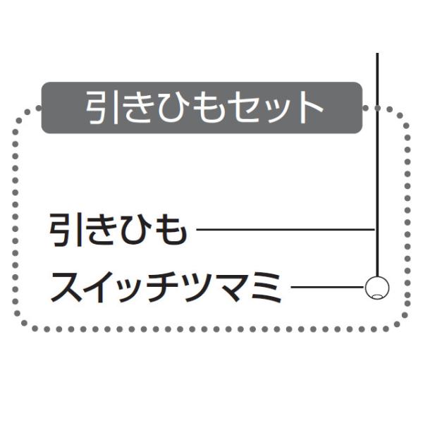 pi\jbN Panasonic LEDV[OCg ЂZbg HK6500223S
