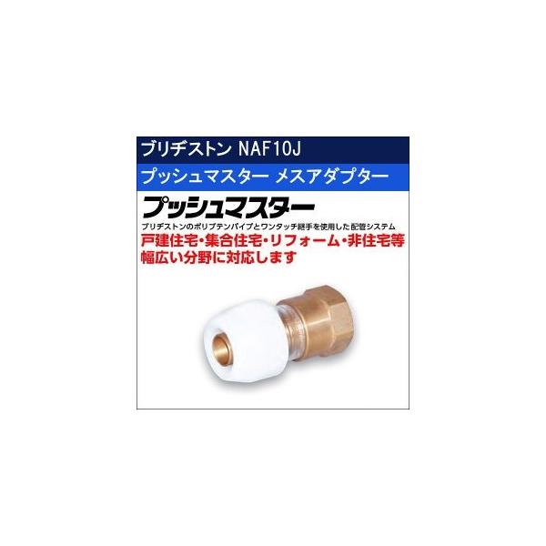 uaXg vbV}X^[ XA_v^[ NAF10J 10