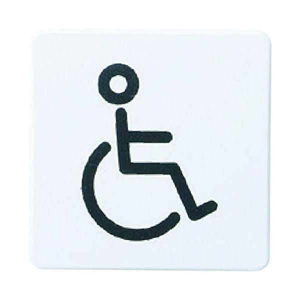 VN} `[NTC Ԉ֎q  yNP-21-4z