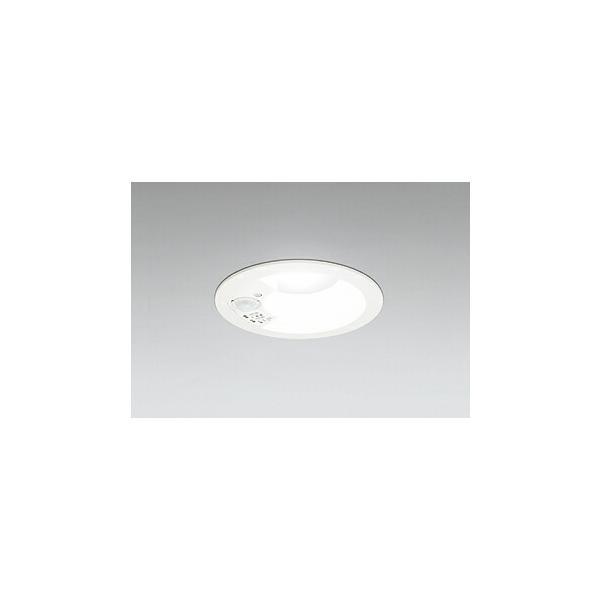 �I�[�f���b�N �_�E�����C�g �yOD261942R�z�yOD 261 942R�z