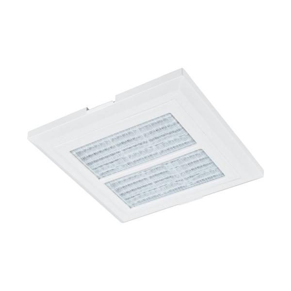 OH C P-13GLSF2 CEXiC [ʔ]CpVXe OrCO P-13GLSF2