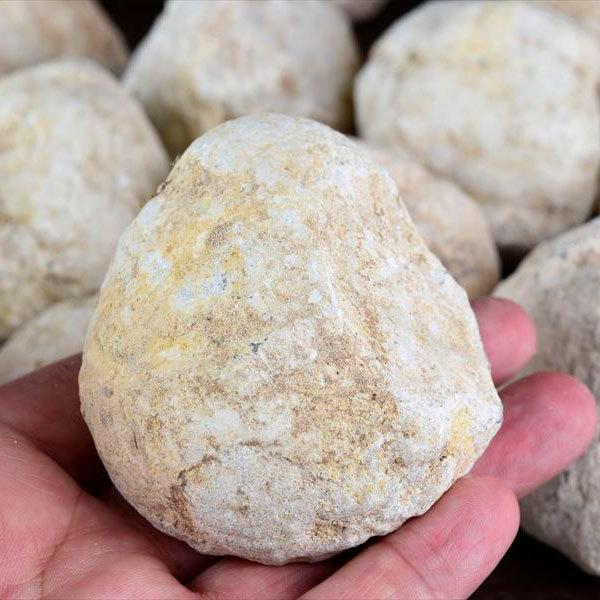 ジオード 晶洞 割れていないジオード メキシコ産 単品販売