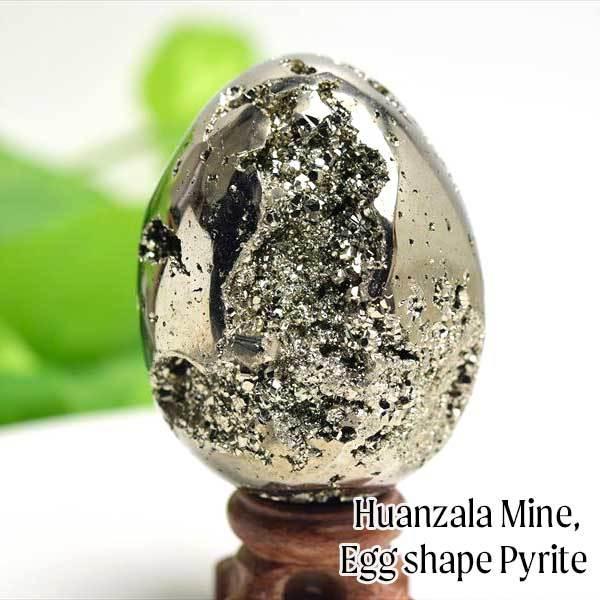 中古 セプタリアン 卵 asakusa.sub.jp