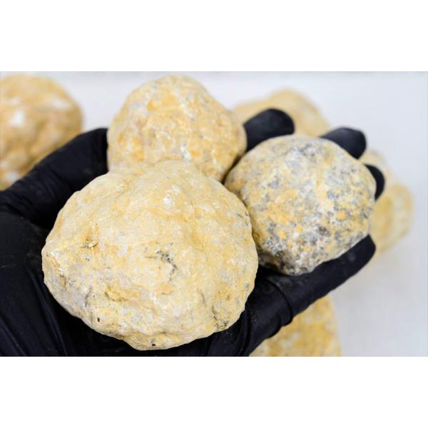 �����Ȗ�3kg�� �����b�R�Y �W�I�[�h ����Ă��Ȃ��W�I�[�h �l�ߍ��킹 �I���W�i�����ܓ��� �A�\�[�g�Z�b�g �����b�R�Y�W�I�[�h ���� ���� �V�R�� ���� ���i�摜3