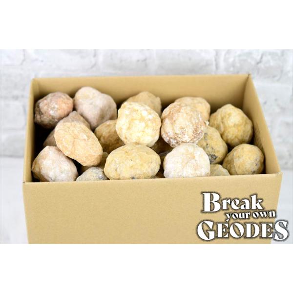 �����Ղ��10kg�� �����b�R�Y �W�I�[�h ����Ă��Ȃ��W�I�[�h �l�ߍ��킹 �I���W�i�����ܕt�� �A�\�[�g�Z�b�g ���� ���� �N���X�^�[ �΃K�`�� ���i�摜1