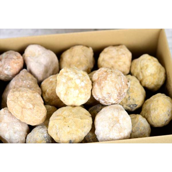 �����Ղ��10kg�� �����b�R�Y �W�I�[�h ����Ă��Ȃ��W�I�[�h �l�ߍ��킹 �I���W�i�����ܕt�� �A�\�[�g�Z�b�g ���� ���� �N���X�^�[ �΃K�`�� ���i�摜2