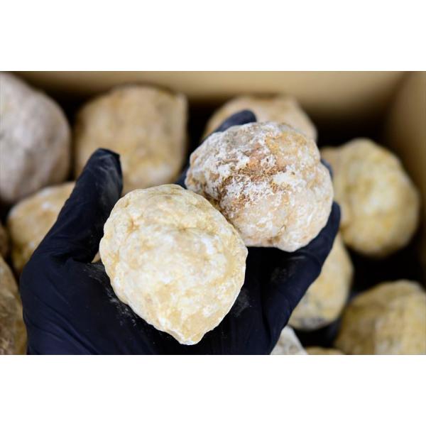 �����Ղ��10kg�� �����b�R�Y �W�I�[�h ����Ă��Ȃ��W�I�[�h �l�ߍ��킹 �I���W�i�����ܕt�� �A�\�[�g�Z�b�g ���� ���� �N���X�^�[ �΃K�`�� ���i�摜3